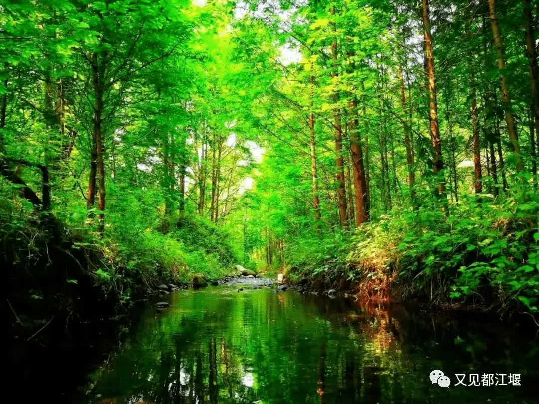 城堡农场生活技巧_农民城堡_农场城堡游戏