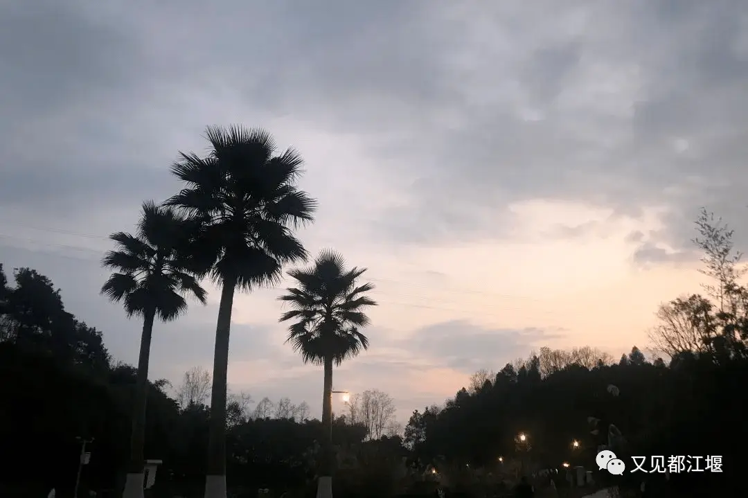 城堡农场生活技巧_农民城堡_农场城堡游戏
