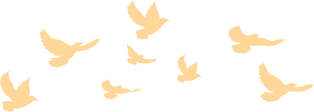 生活小常识演讲稿(上广播)_生活小常识播报稿_生活小常识广播稿大全500字