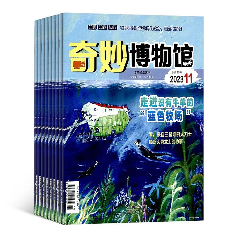 少年生活是什么_少年百科生活百科_少年生活照