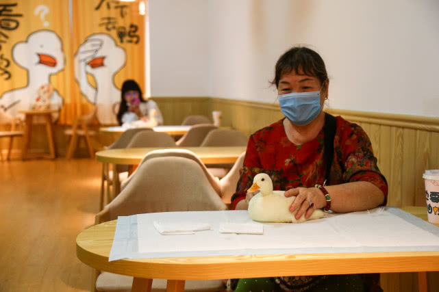 咖啡馆宠物顾客目标是什么_宠物咖啡馆的目标顾客_咖啡馆宠物顾客目标分析