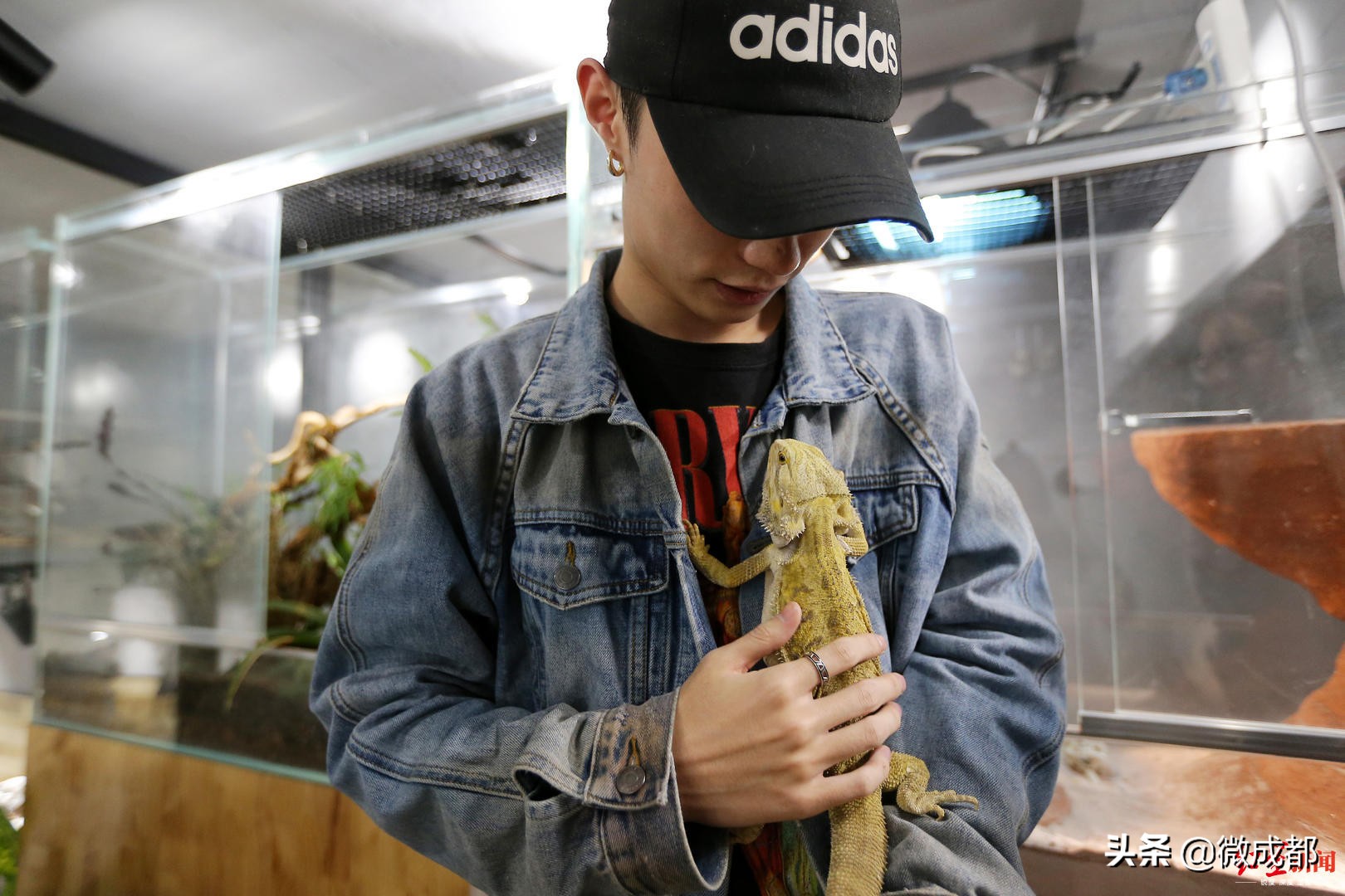 宠物咖啡馆的目标客户_宠物咖啡馆的目标顾客_咖啡馆宠物顾客目标怎么写