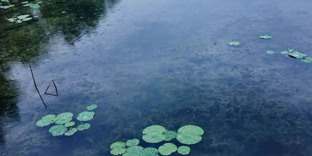 疫情过后的健康生活方式_疫情后的健康_疫情下健康的生活方式