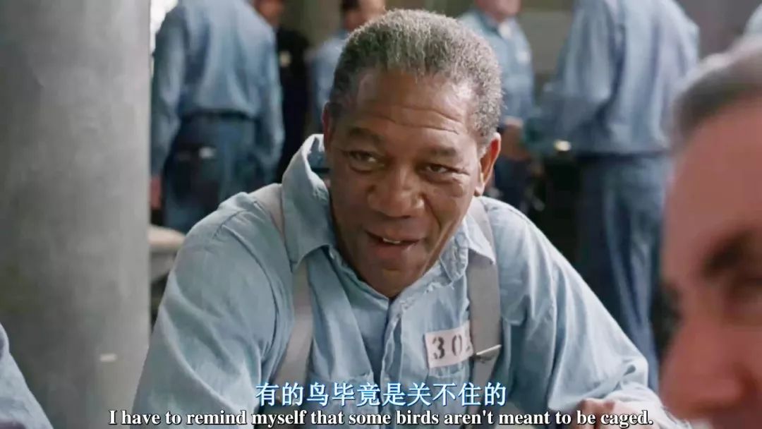 精英家庭的标准_什么叫精英家庭_精英家庭孩子日常