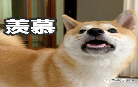 电竞哭_电竞哭_电竞哭