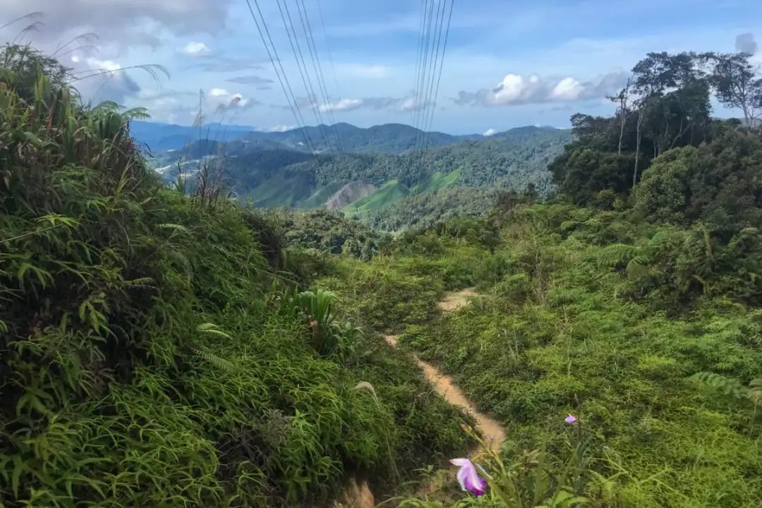 电影中的咖啡馆_咖啡馆与廉价旅馆电影_电影旅馆老板演员是谁