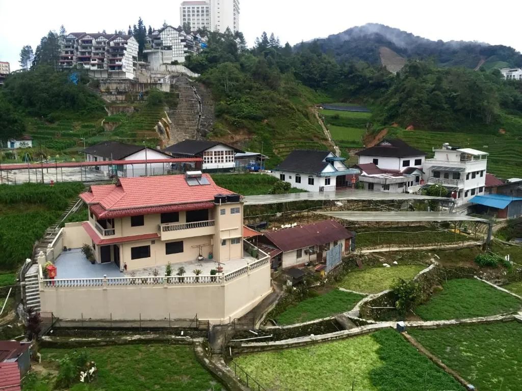 电影旅馆老板演员是谁_咖啡馆与廉价旅馆电影_电影中的咖啡馆
