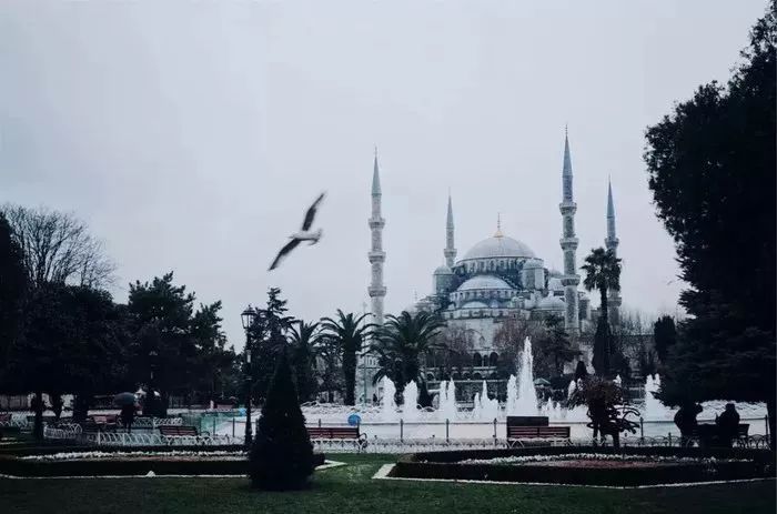 电影旅馆老板演员是谁_咖啡馆与廉价旅馆电影_电影中的咖啡馆