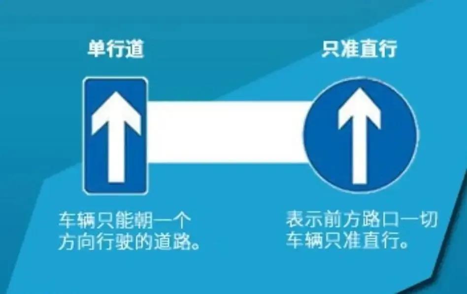 基本常识科目一_常识科目基本内容_常识科目基本结构