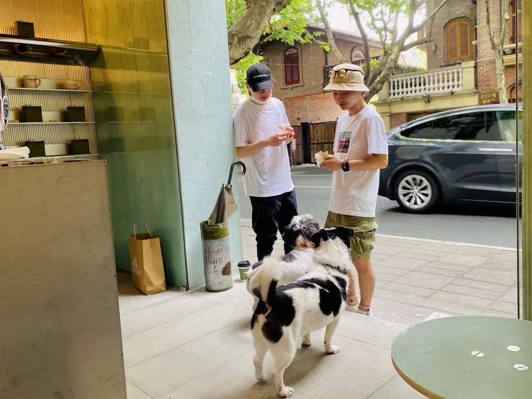 小公园网红咖啡馆台阶多少_小公园网红咖啡馆台阶多少_小公园网红咖啡馆台阶多少