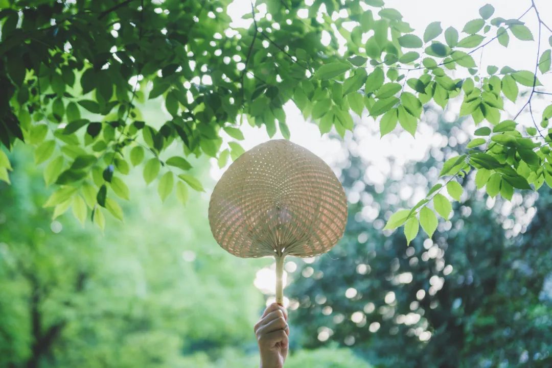 西安有多少家咖啡馆_西安人少的咖啡厅_西安网红咖啡馆