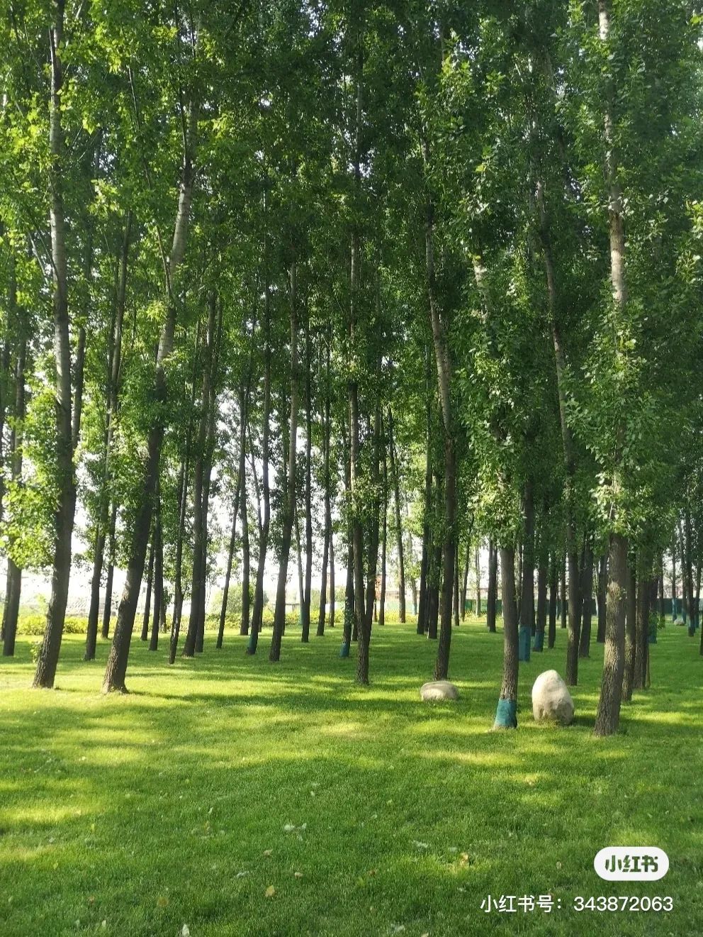 西安有多少家咖啡馆_西安网红咖啡馆_西安人少的咖啡厅