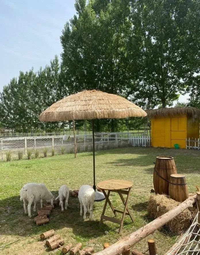 西安有多少家咖啡馆_西安网红咖啡馆_西安人少的咖啡厅