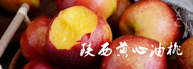 西安有多少家咖啡馆_西安网红咖啡馆_西安人少的咖啡厅
