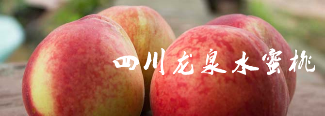 西安人少的咖啡厅_西安网红咖啡馆_西安有多少家咖啡馆