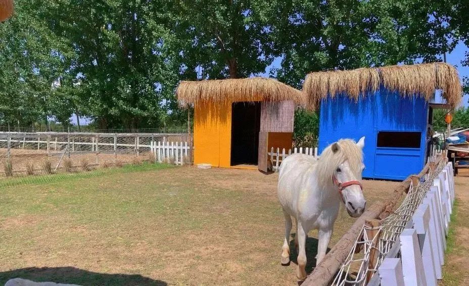 西安有多少家咖啡馆_西安人少的咖啡厅_西安网红咖啡馆