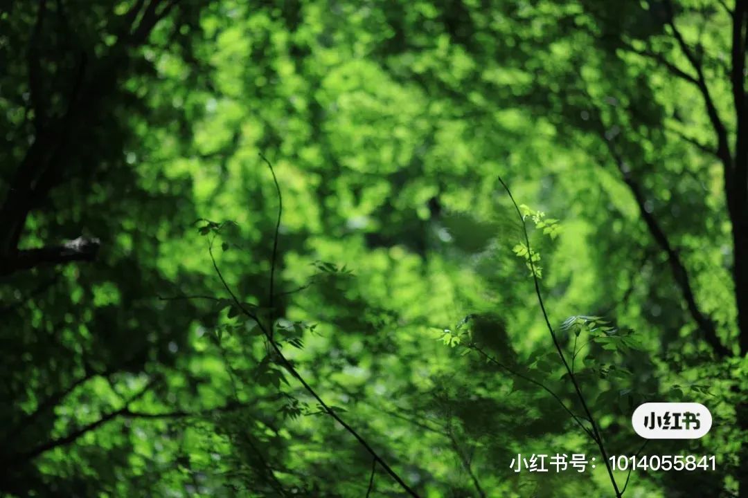 西安网红咖啡馆_西安人少的咖啡厅_西安有多少家咖啡馆