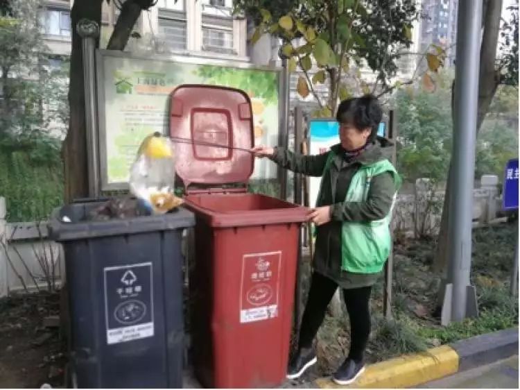 动手小达人手抄报_动手小达人小学生作文_动手达人的生活小窍门