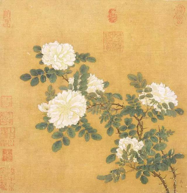 小技巧生活小技巧_生活小技巧六六六_生活小技巧什么意思