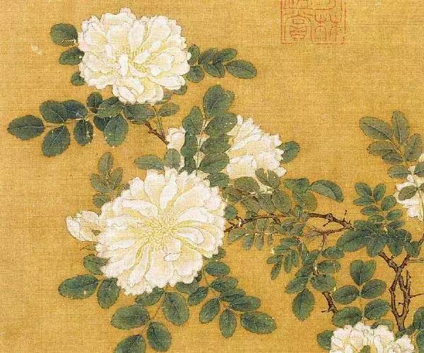 小技巧生活小技巧_生活小技巧六六六_生活小技巧什么意思