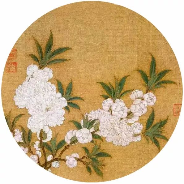 生活小技巧六六六_生活小技巧什么意思_小技巧生活小技巧