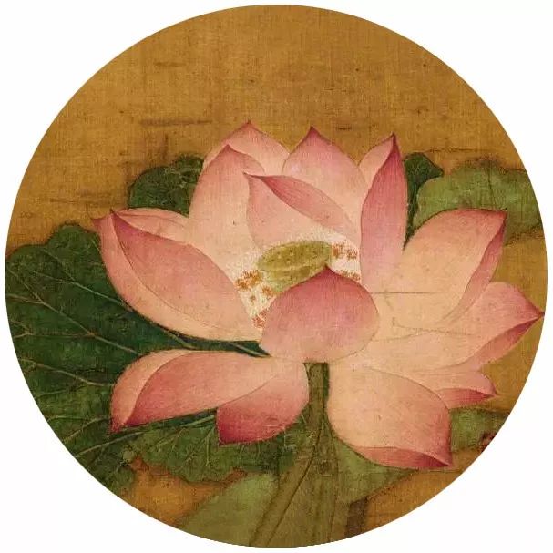 生活小技巧什么意思_生活小技巧六六六_小技巧生活小技巧