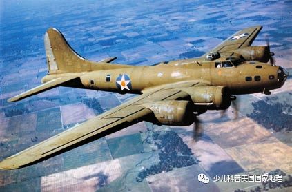 鲨鱼百科视频_鲨鱼小知识大世界_鲨鱼生活小百科