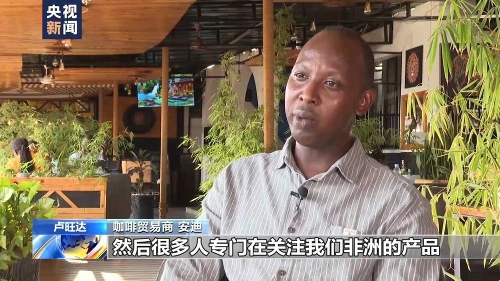 中非咖啡_中非咖啡好吗_咖啡是非洲的吗