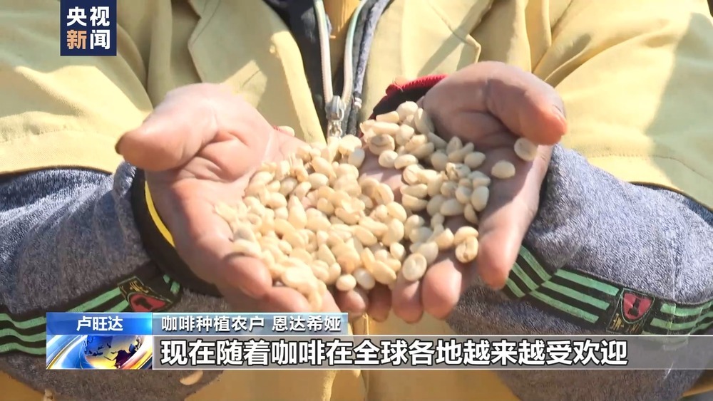 咖啡是非洲的吗_中非咖啡_中非咖啡好吗