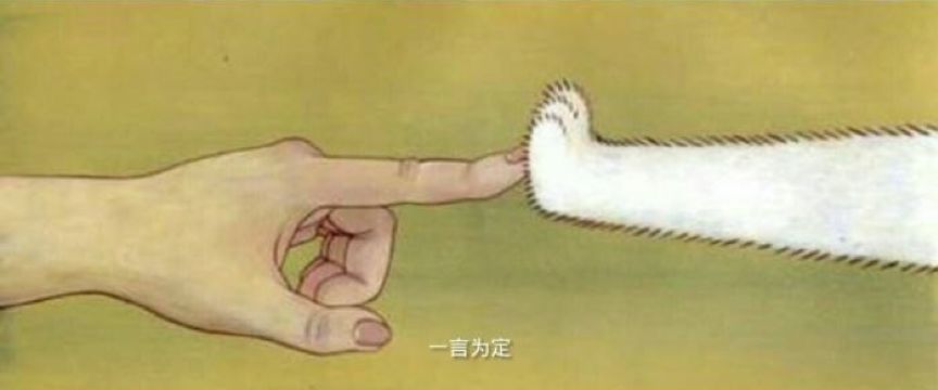 短视频创业书籍_网络创业视频_互联网视频创业故事书
