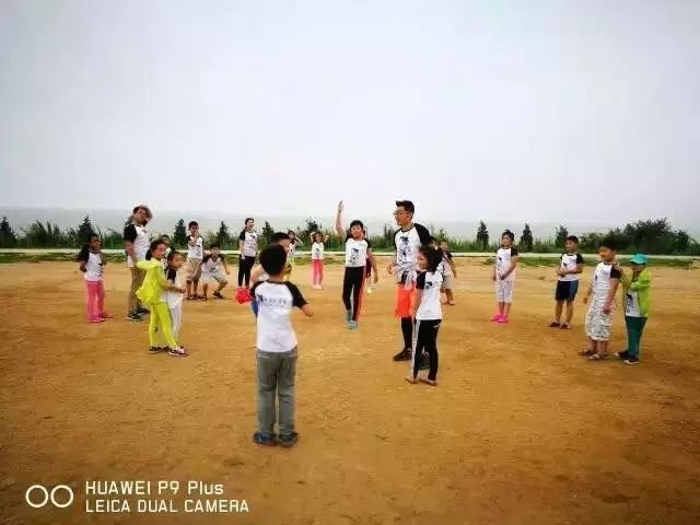 鲨鱼小科普_鲨鱼小知识大世界_鲨鱼生活小百科
