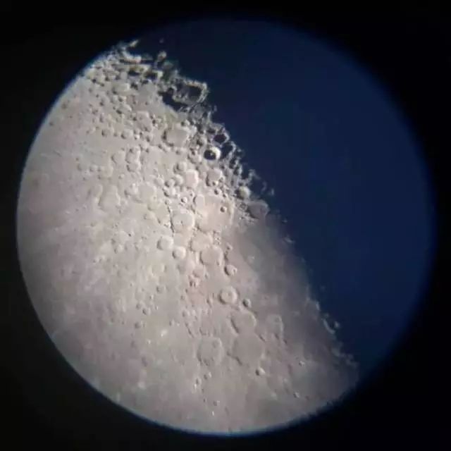 鲨鱼小知识大世界_鲨鱼生活小百科_鲨鱼小科普