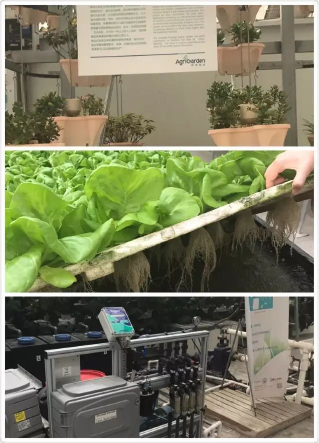 鲨鱼小科普_鲨鱼小知识大世界_鲨鱼生活小百科