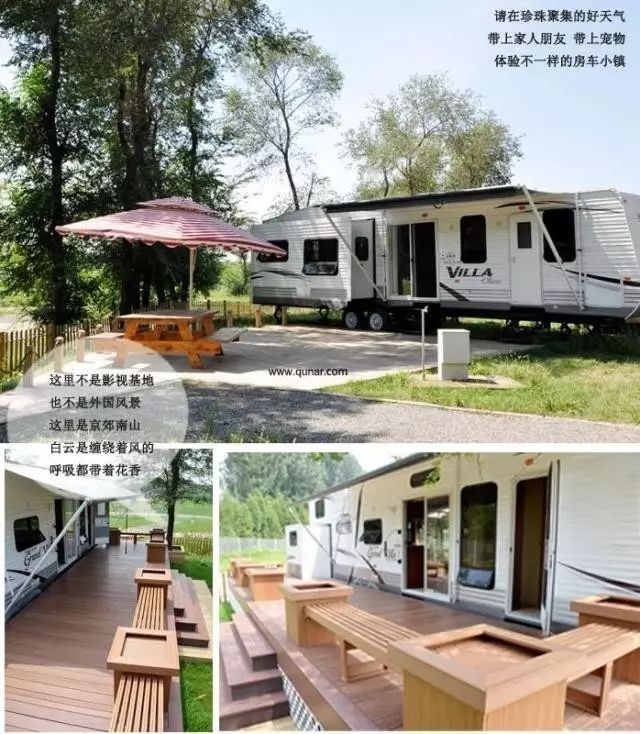 鲨鱼小知识大世界_鲨鱼生活小百科_鲨鱼小科普