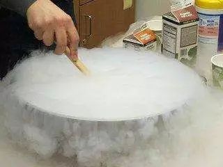 鲨鱼小知识大世界_鲨鱼小科普_鲨鱼生活小百科