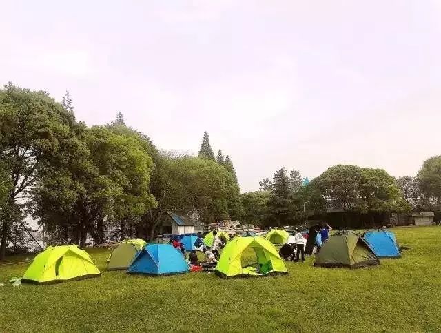 鲨鱼小知识大世界_鲨鱼小科普_鲨鱼生活小百科