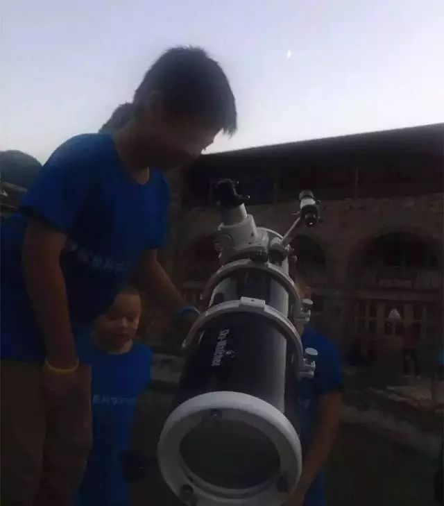 鲨鱼小知识大世界_鲨鱼生活小百科_鲨鱼小科普