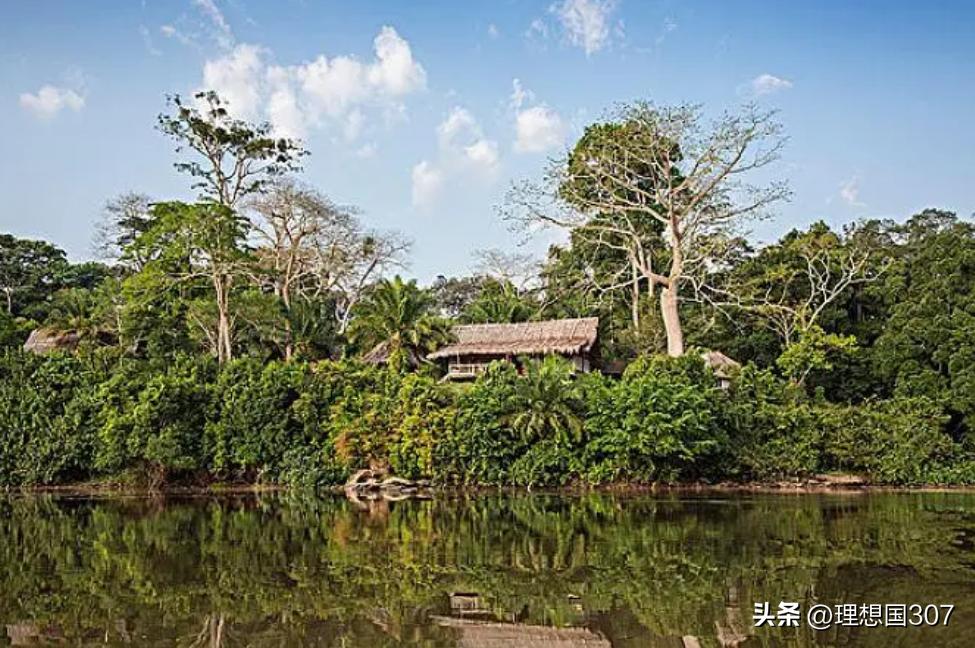 咖啡是非洲的吗_中非咖啡_中非咖啡好吗