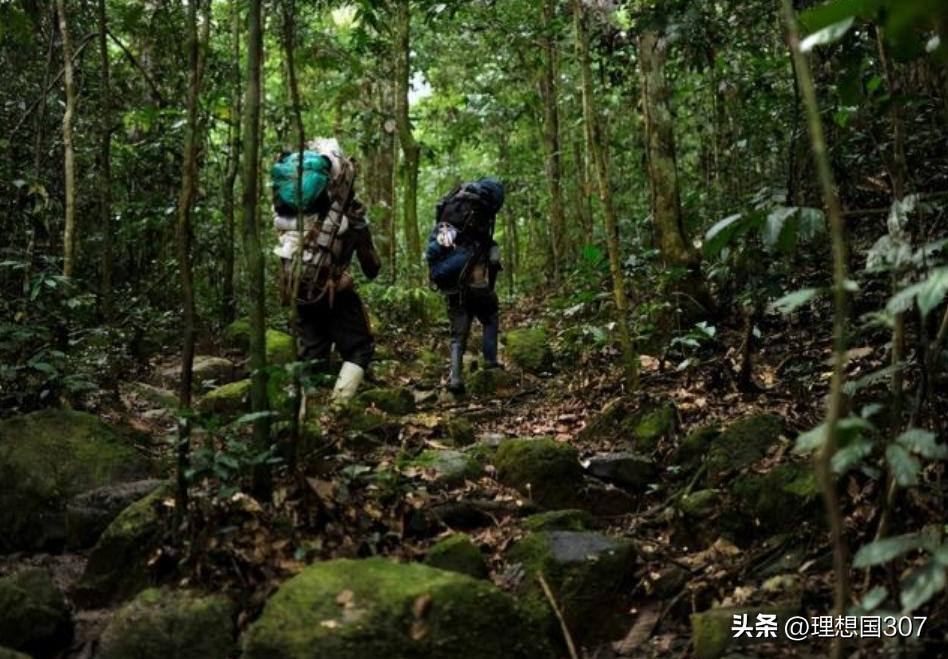 咖啡是非洲的吗_中非咖啡好吗_中非咖啡