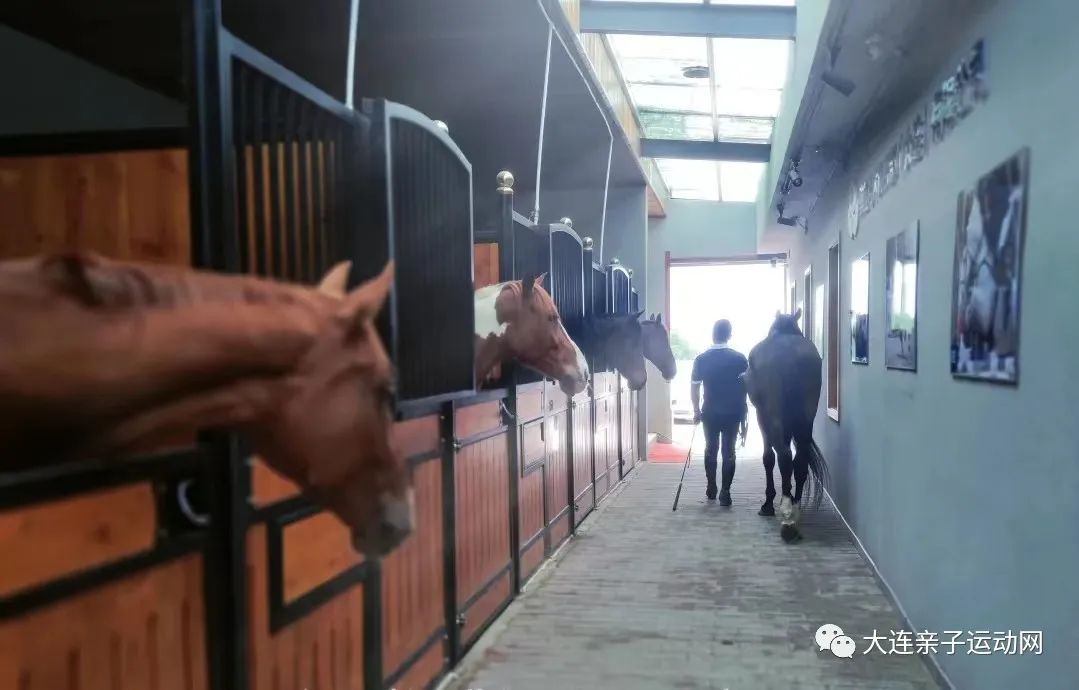生活小技能体验_体验技能100字_体验生活技能的作文