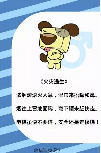 生活常识儿歌视频_生活常规儿歌_生活小常识动画片
