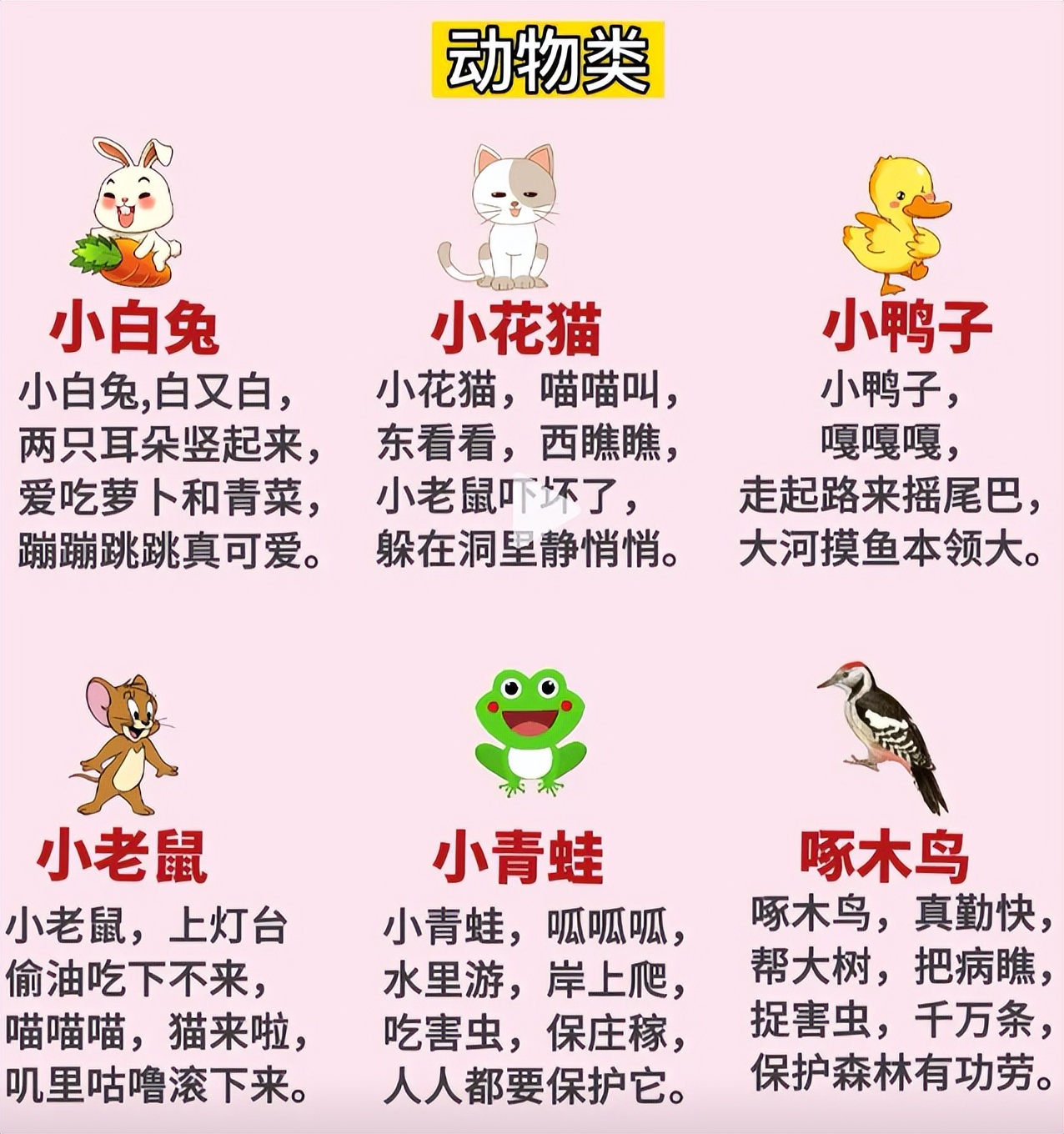 生活常识儿歌视频_生活常识的儿歌_日常生活儿歌