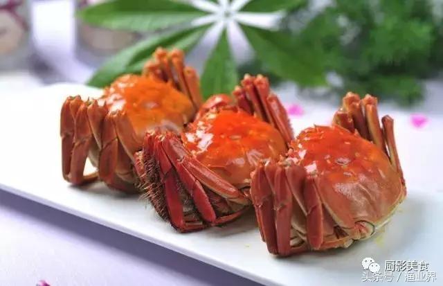 中国著名螃蟹大赏！,非常值得看的一篇文章