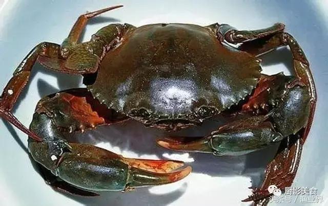 中国著名螃蟹大赏！,非常值得看的一篇文章