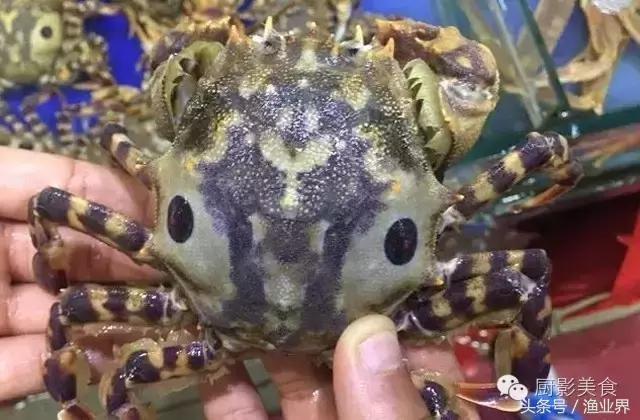 中国著名螃蟹大赏！,非常值得看的一篇文章