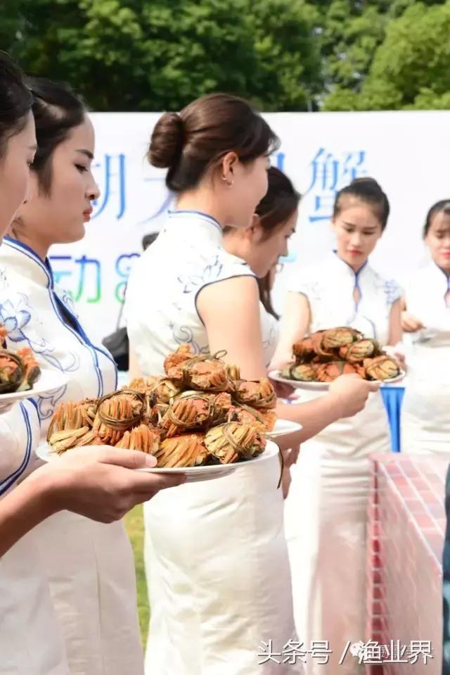 中国著名螃蟹大赏！,非常值得看的一篇文章