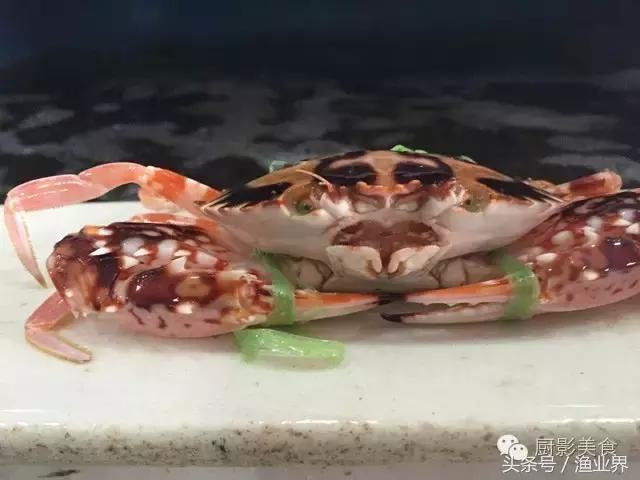 中国著名螃蟹大赏！,非常值得看的一篇文章