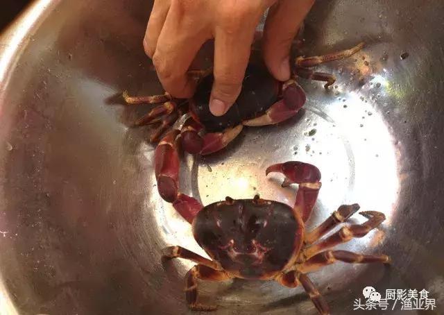 中国著名螃蟹大赏！,非常值得看的一篇文章