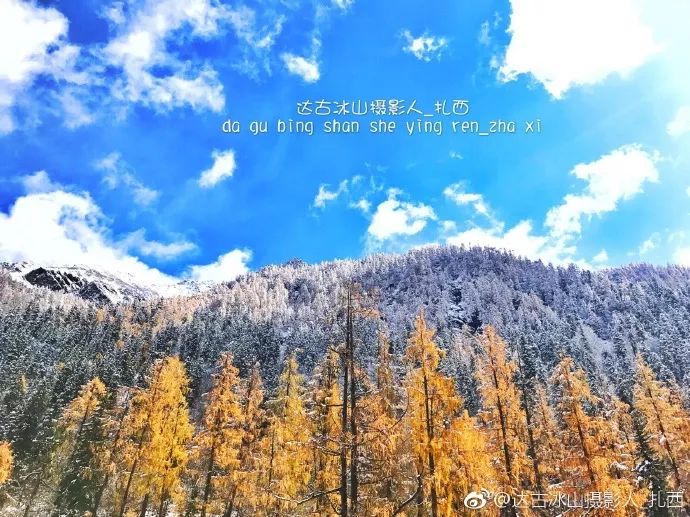 达古冰川咖啡馆_达古冰川咖啡_冰川咖啡屋
