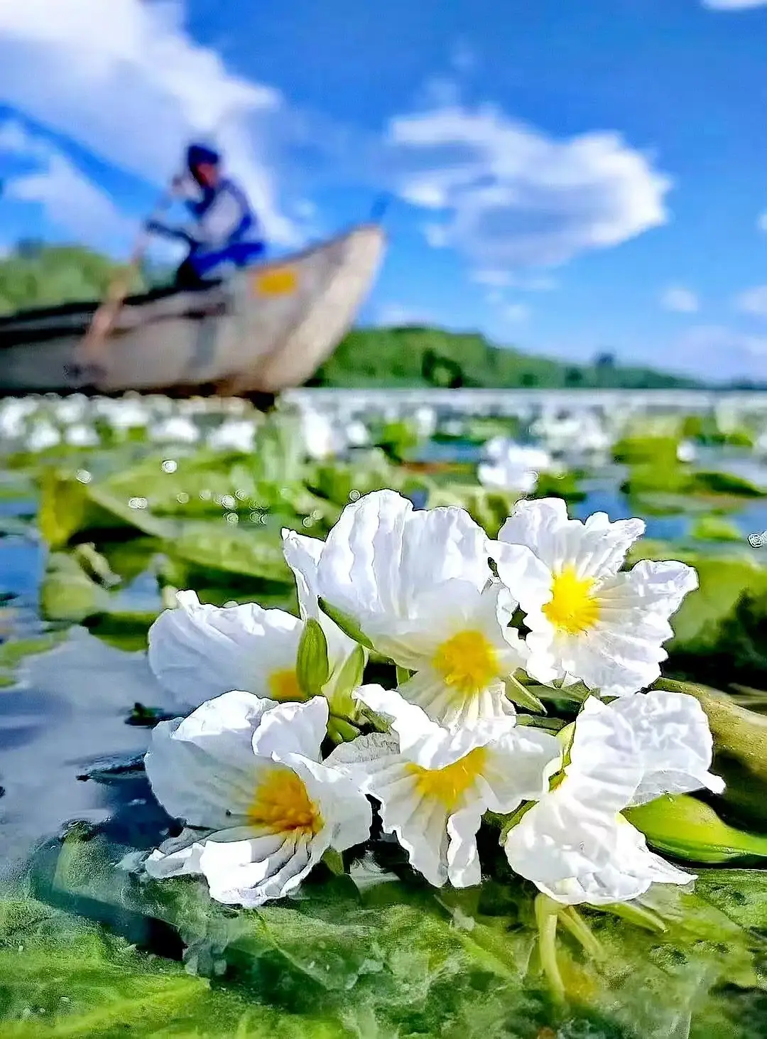 美景美食不可辜负的句子_美景美食的精致句子_美食美景